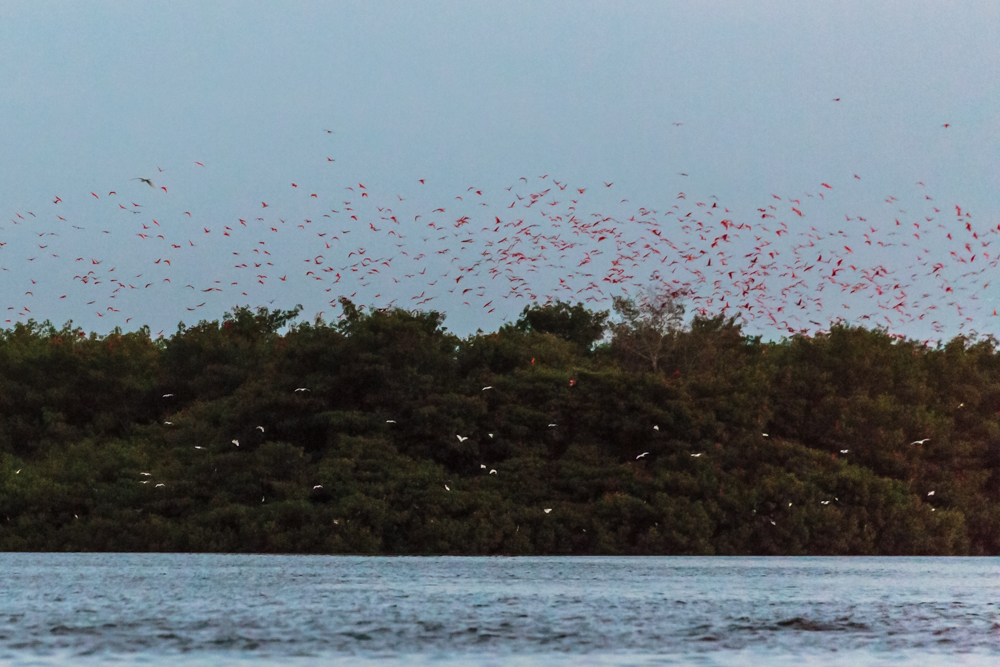 20130919_trinidad_01847.jpg