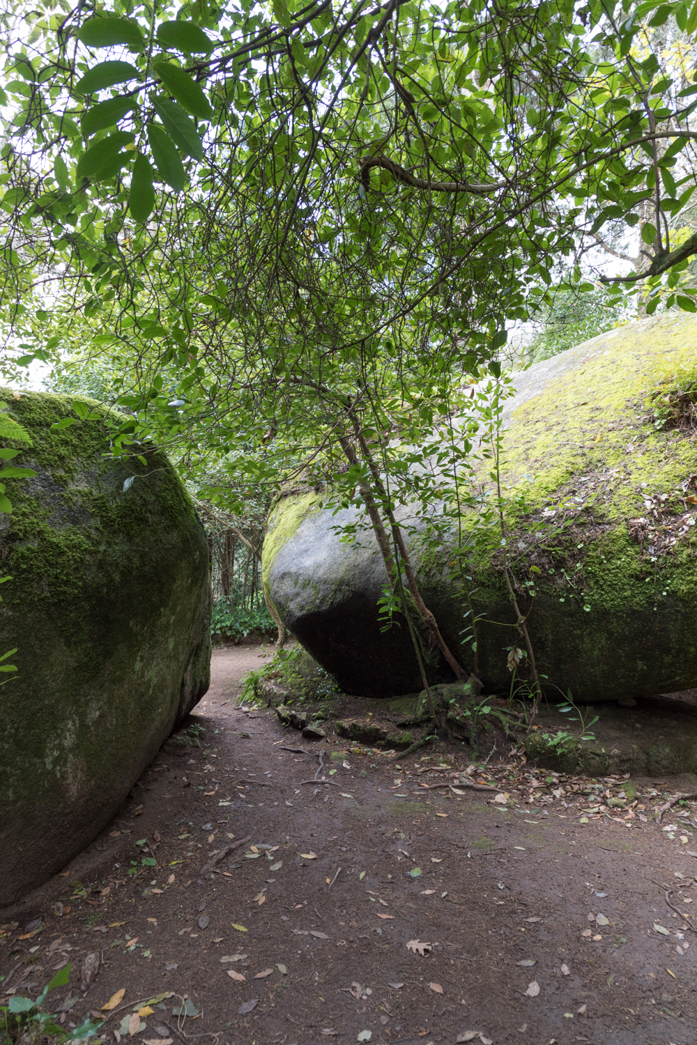 20180404_sintra_0042.jpg