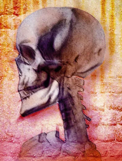 skull.jpg