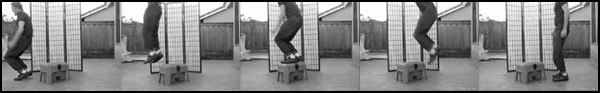 reference-vid-screen-caps.jpg