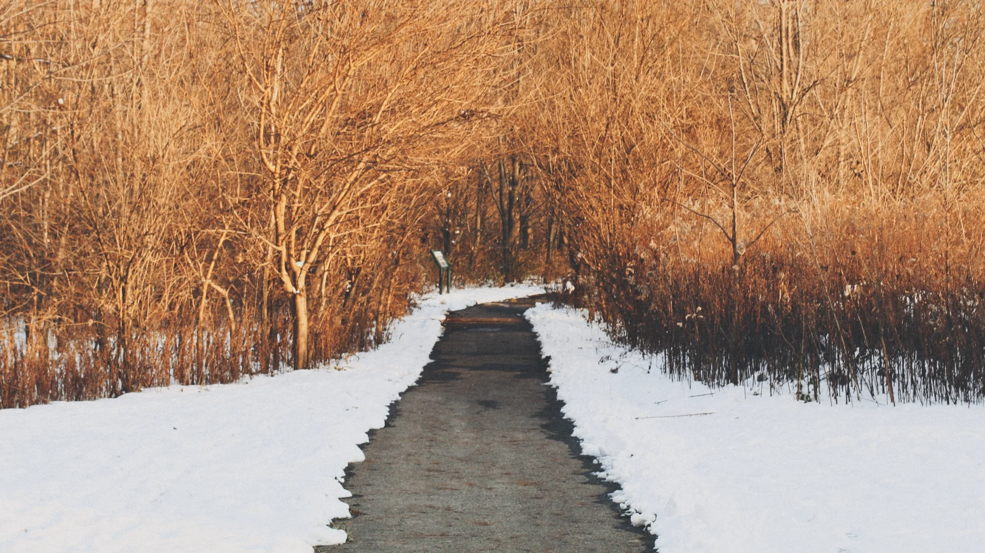 olentangy_trail.jpg
