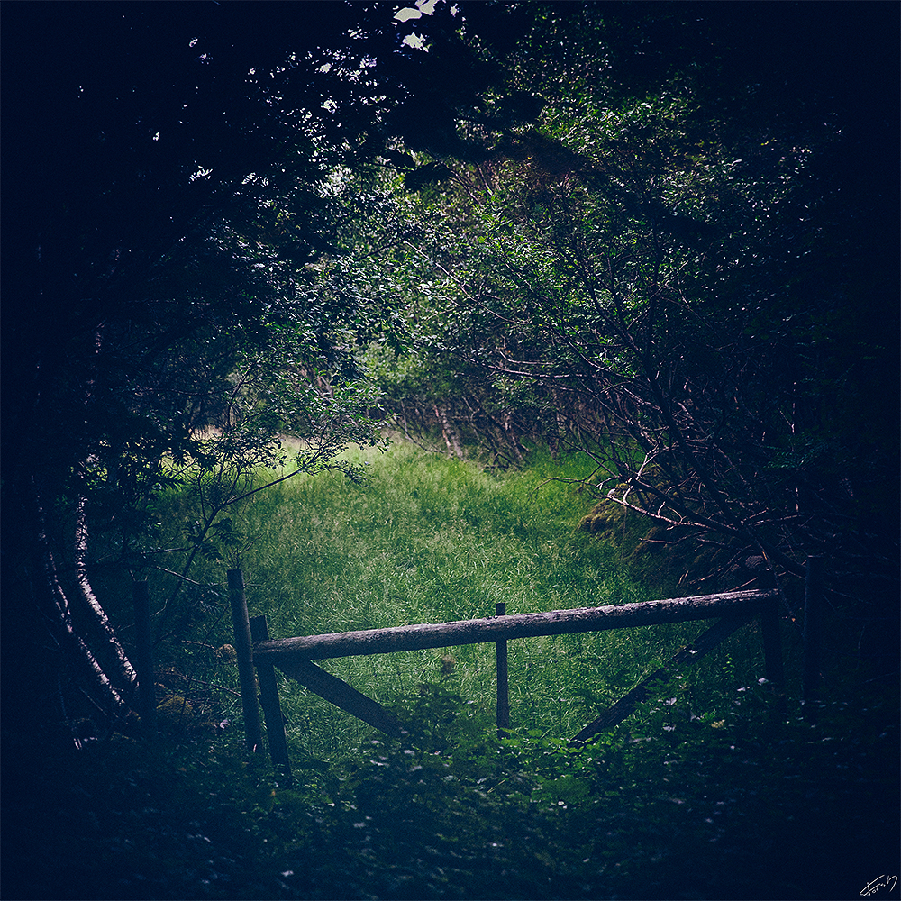 Sommereng / Gate to green pasture