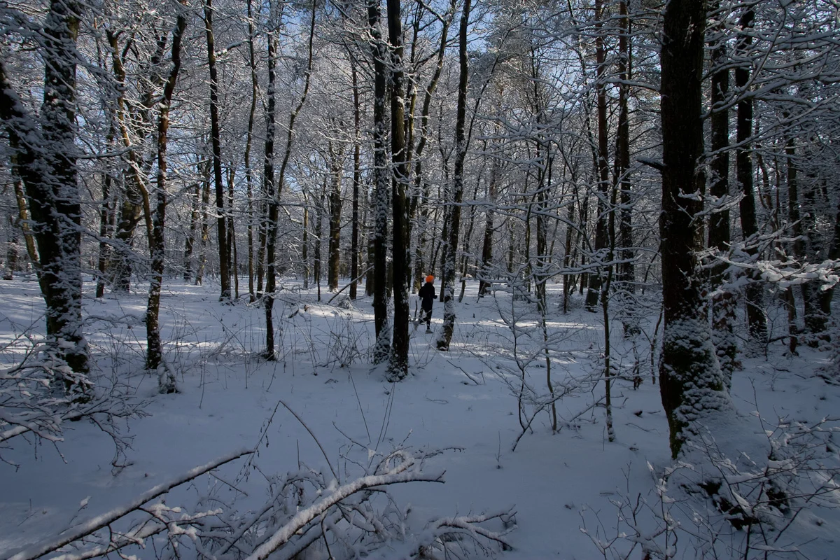 JZP20100130-003-118.jpg