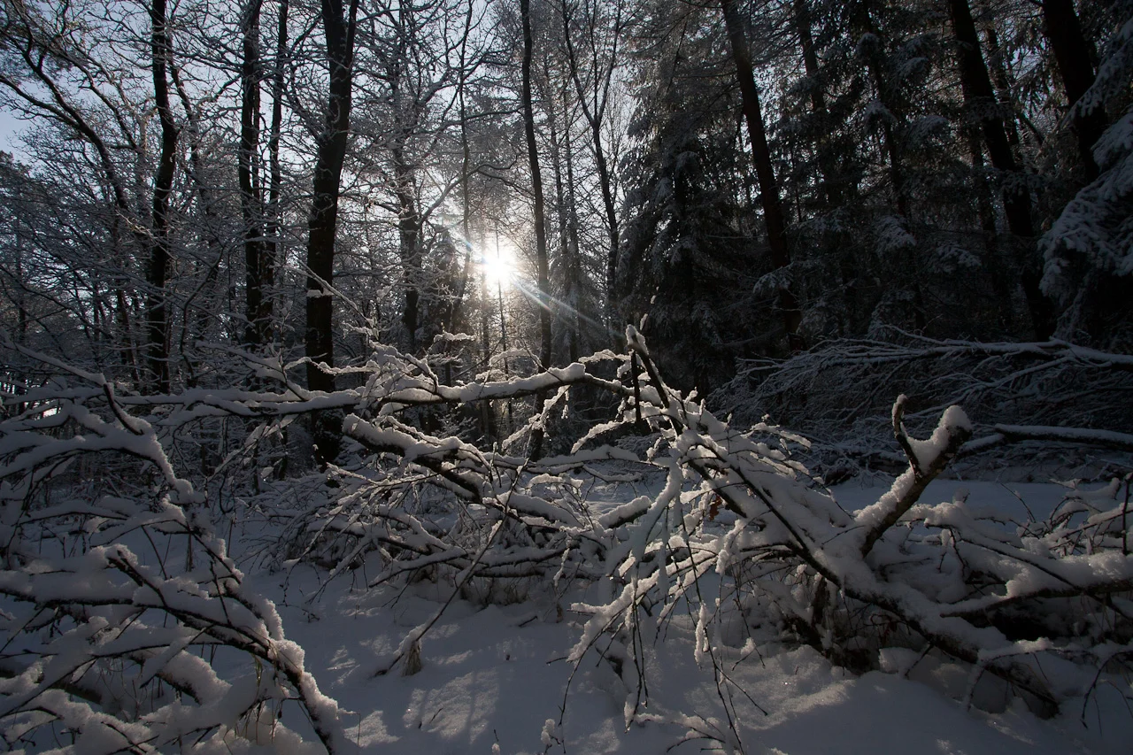 JZP20100130-003-114.jpg