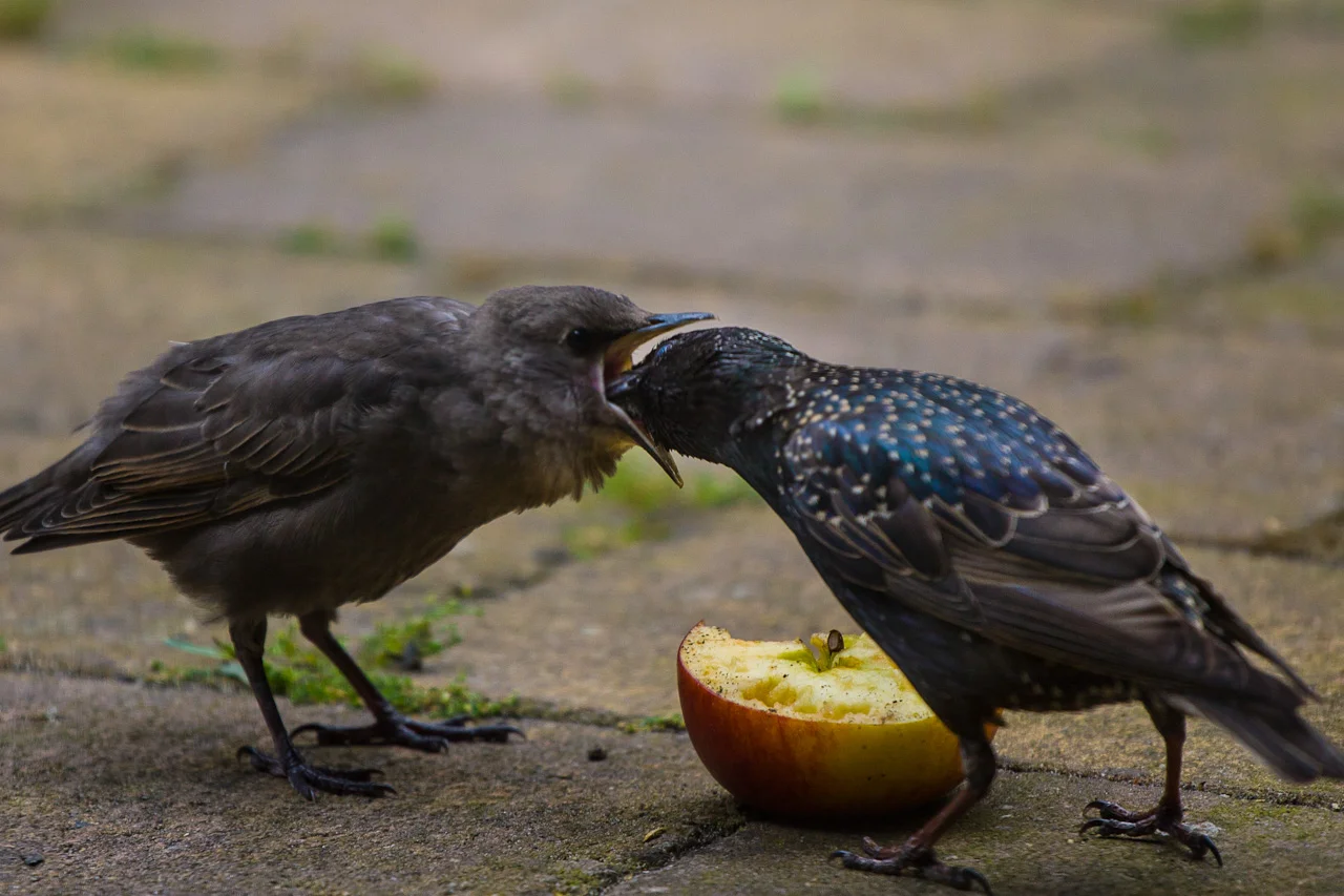 JZP20120707--53.jpg