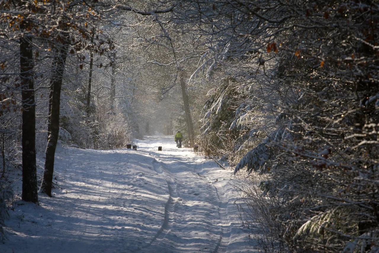 JZP20100130-003-127.jpg