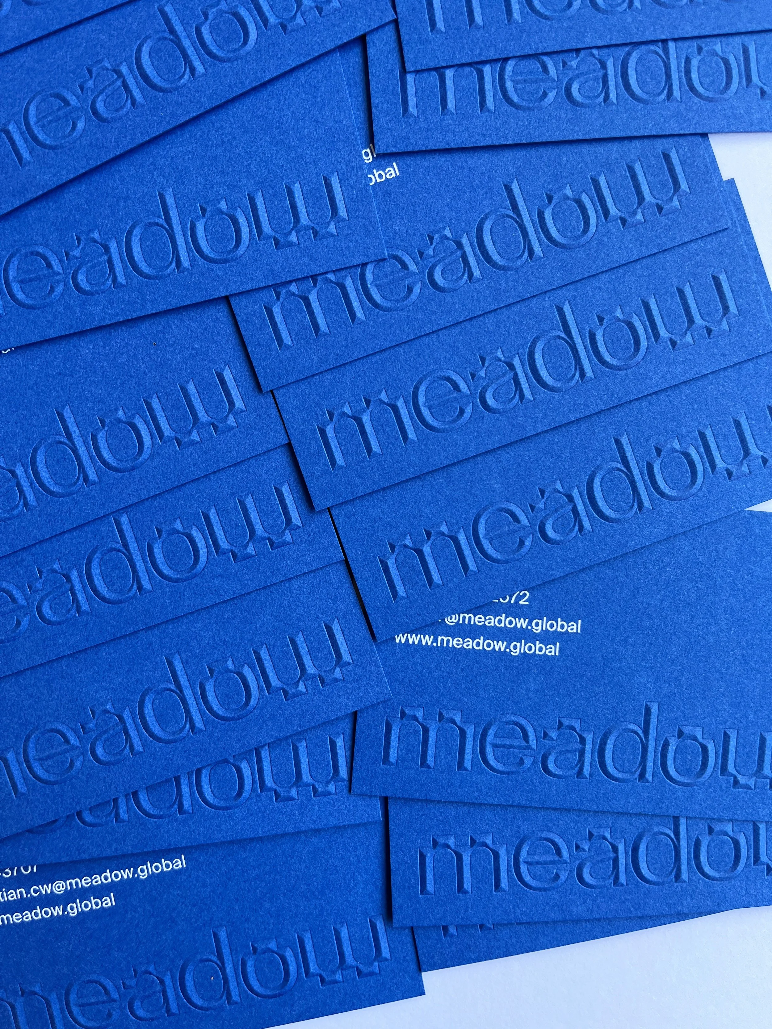  Embossed business cards 