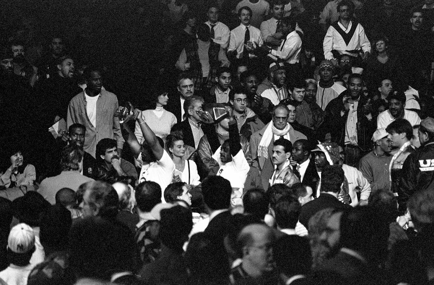 Friday night fights, Madison Square Garden.