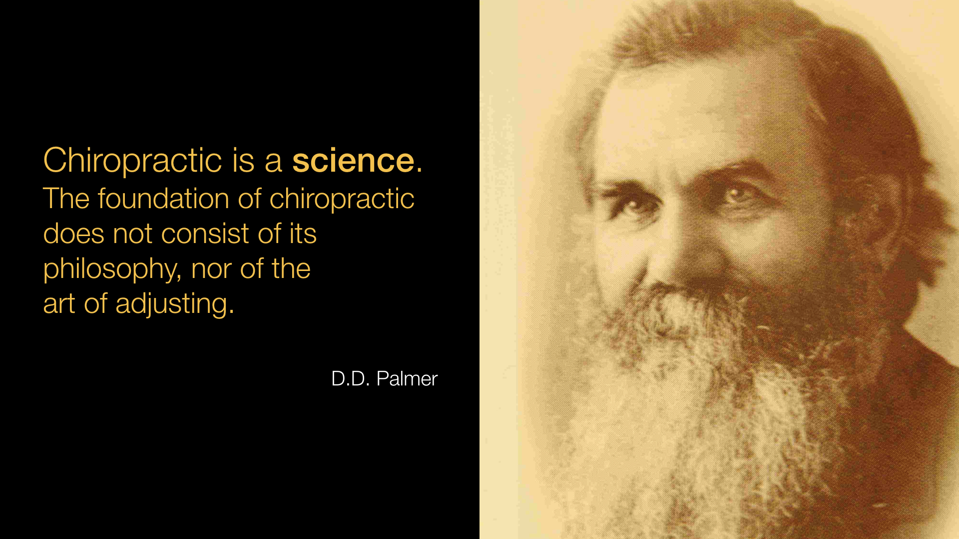 Chiropractic Brainslides.002.jpeg