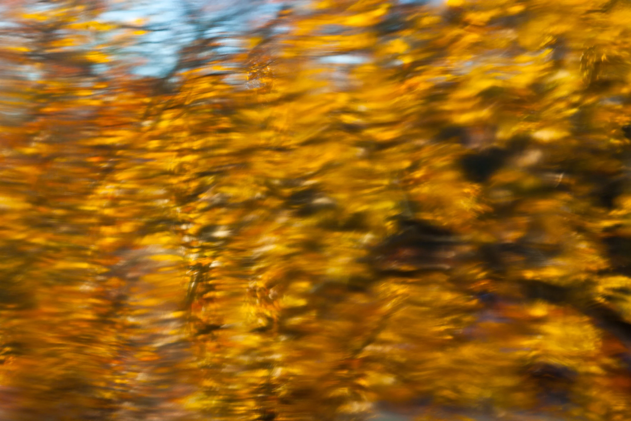 1107 State of Union LEM032.jpg