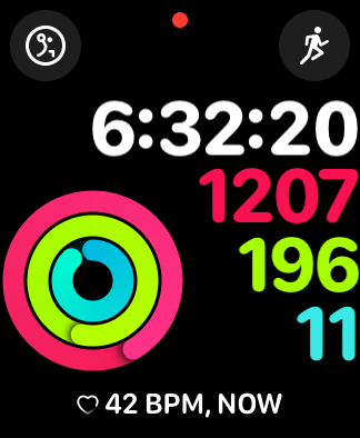 Ally Rilling Health Watch Face.png