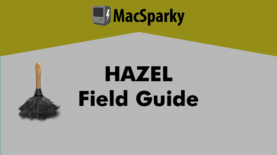 Hazel Discount Hazel Discount