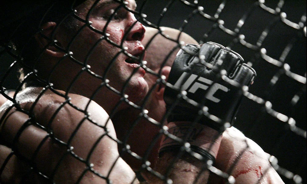 Gabriel Gonzaga