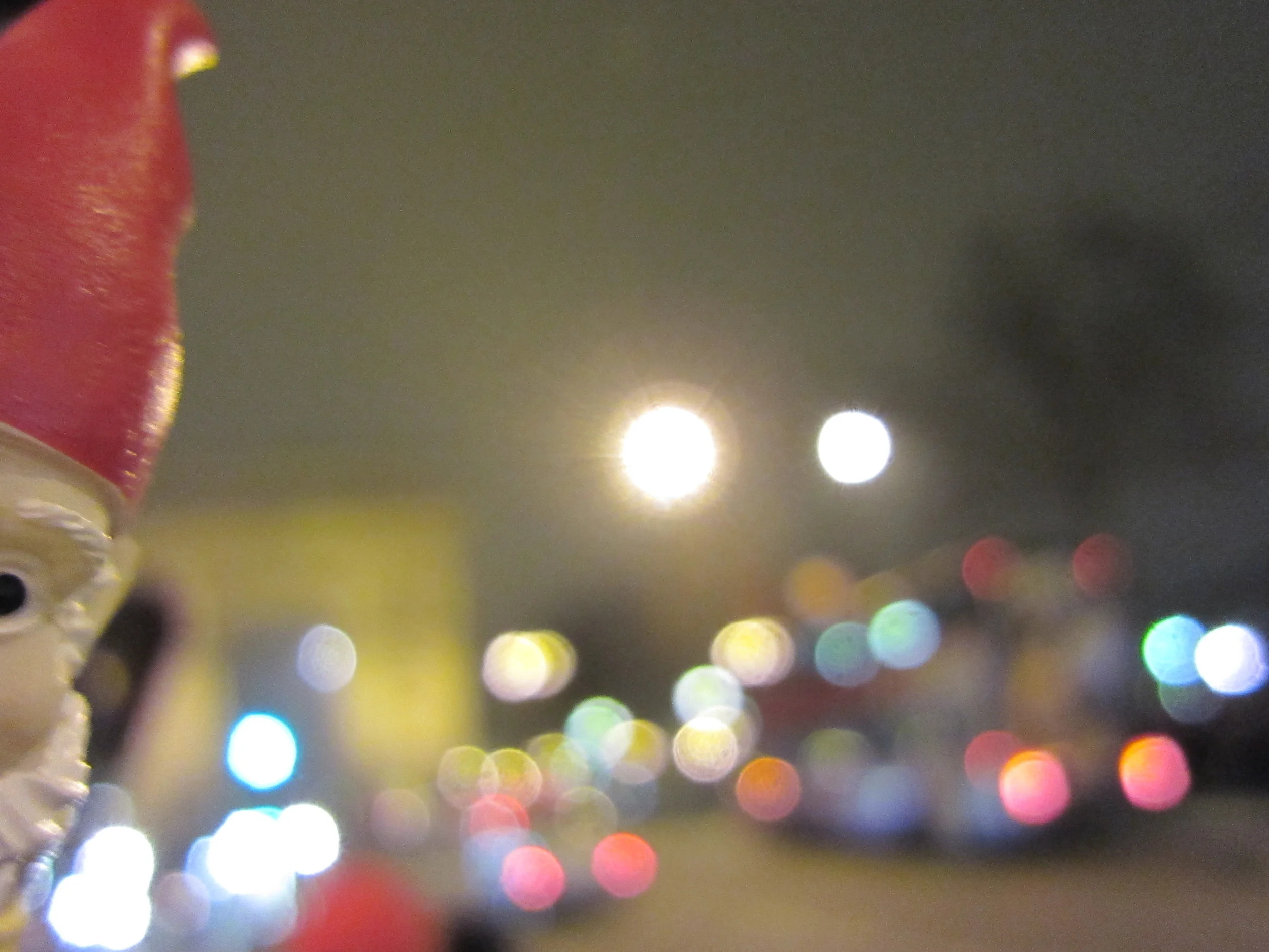 2010-12-21 12.29.32.jpg