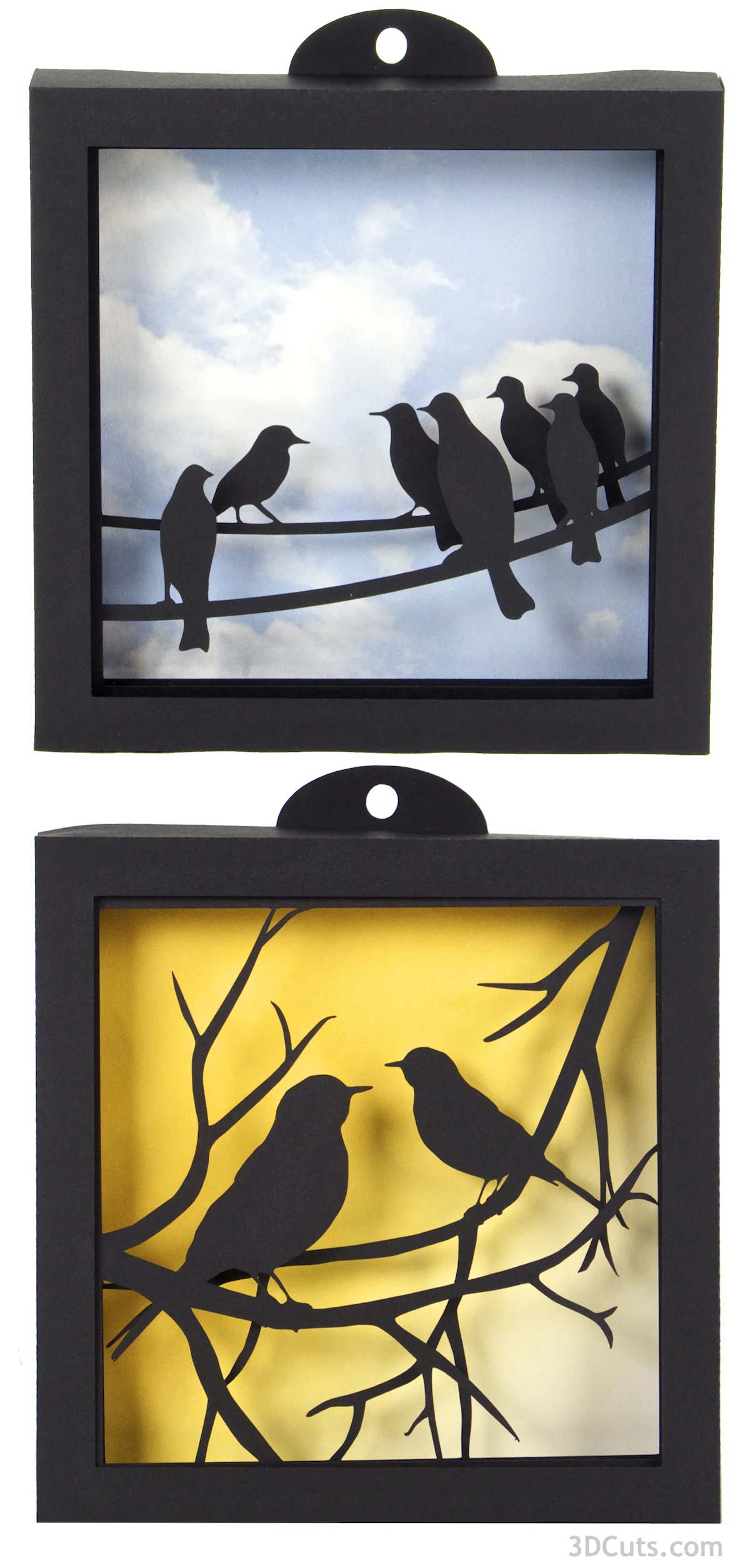 Pair of Bird Shadow Boxes.jpg