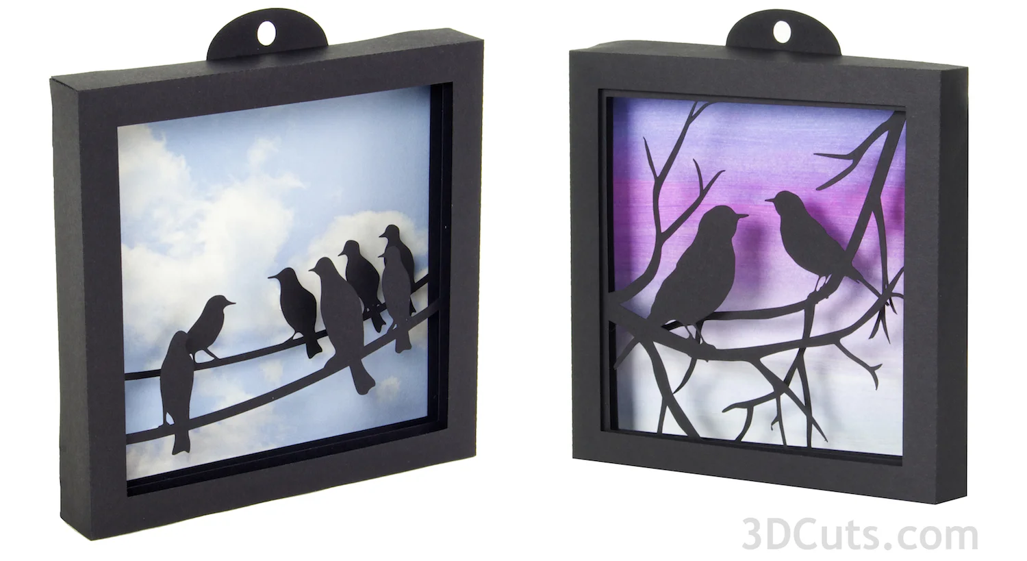 Bird Shadow Boxes sid by side.jpg