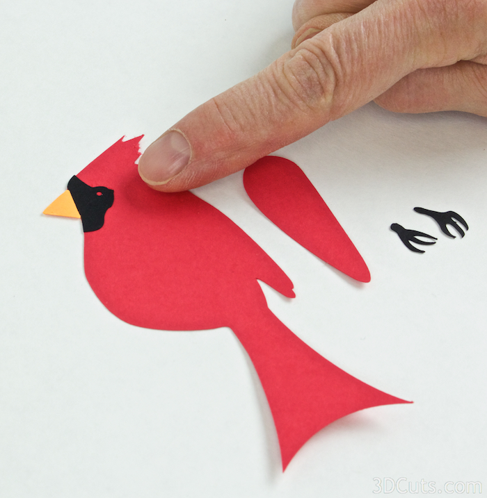 3D RED BIRD SVG for Silhouette 3d svg for Cricut Layered Cardstock svg