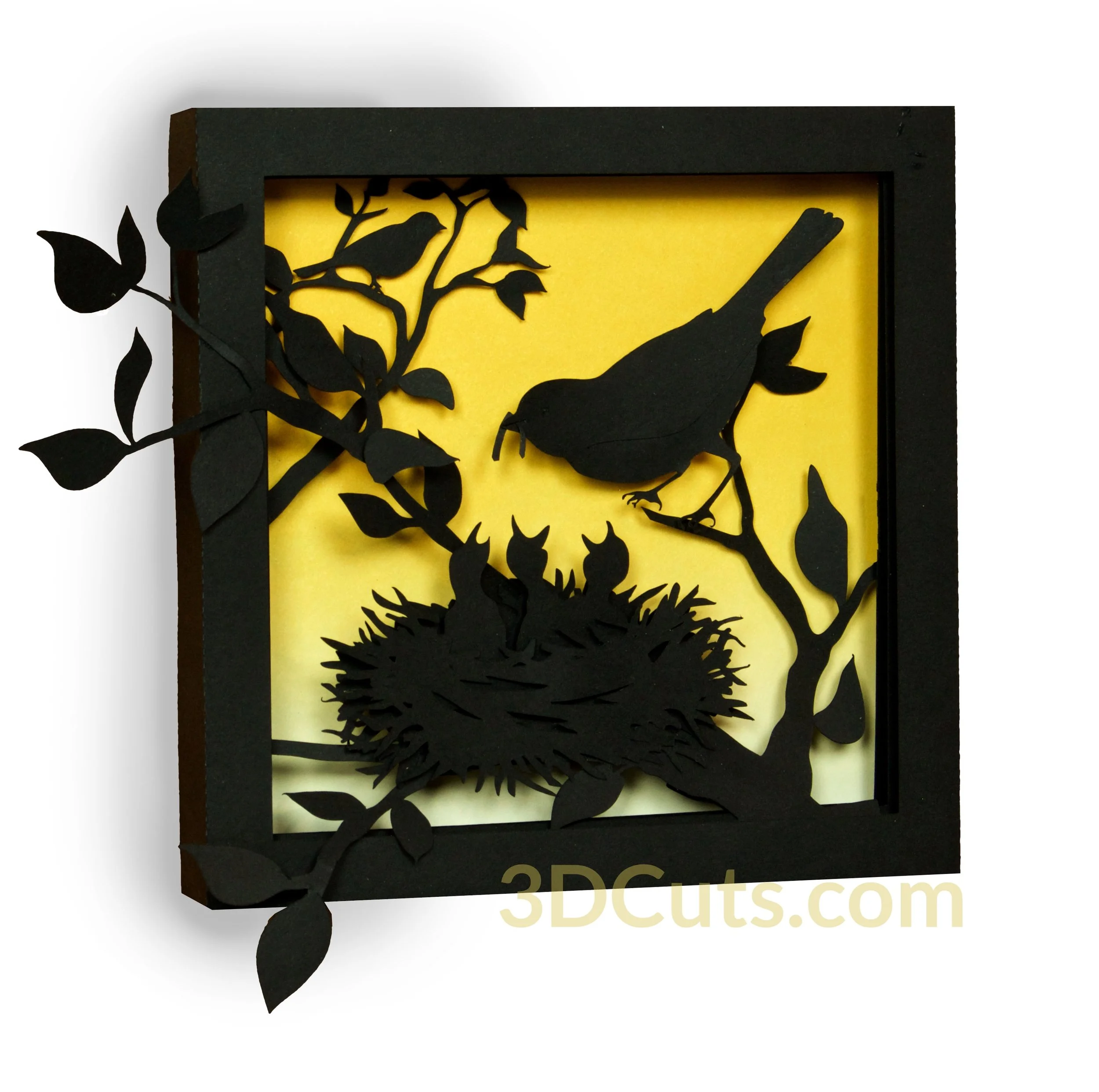 robin on white yellow with wm.jpg