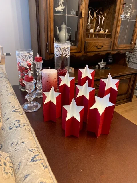 Beautiful Star Light Pillars display created by Judi Kloock Russo of Illinois - 1/2019 - Photo by Judi Kloock Russo.