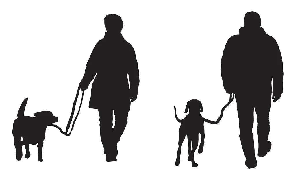 Download Companionship Shadow Box 3dcuts Com Yellowimages Mockups