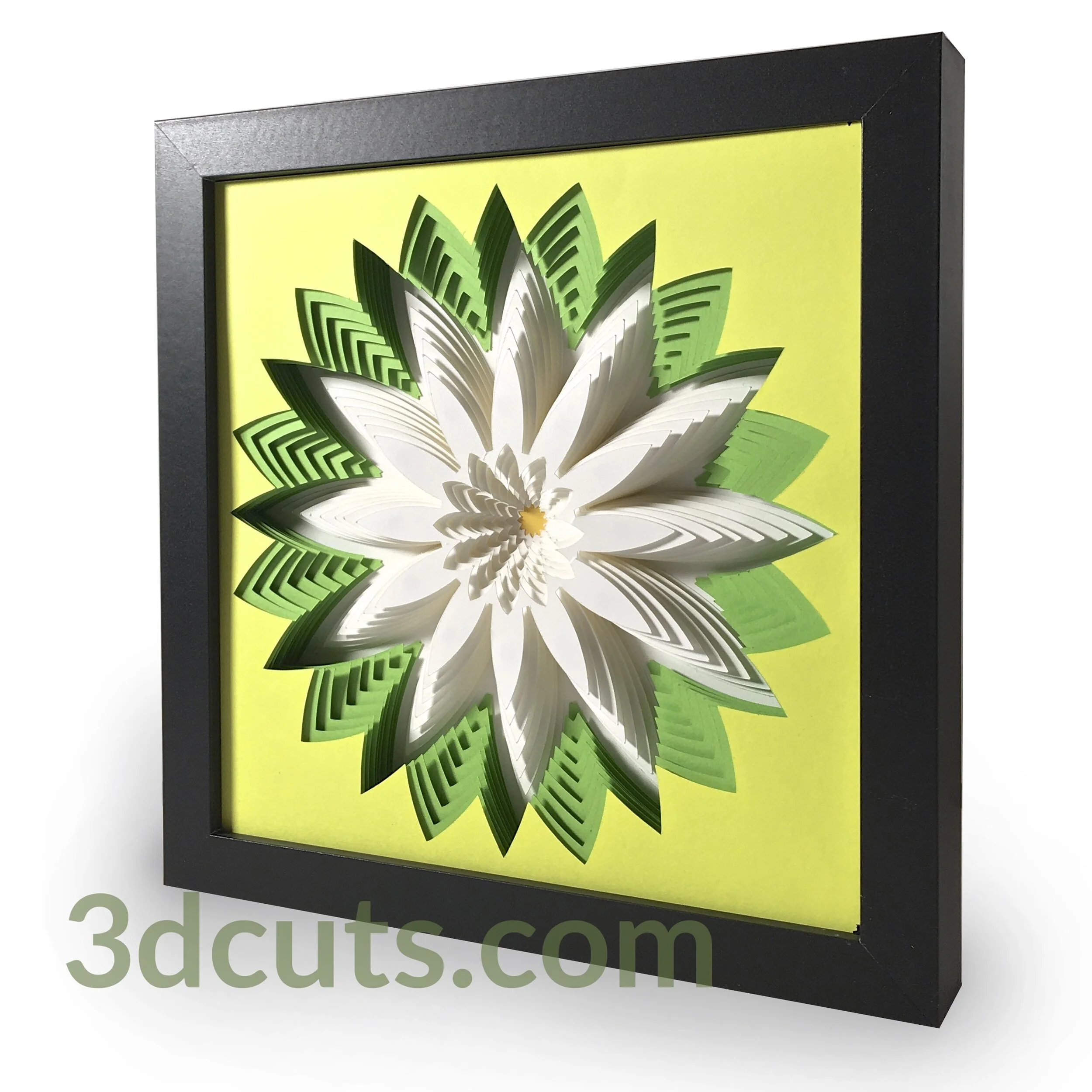 Stacked Daisy WM.jpg