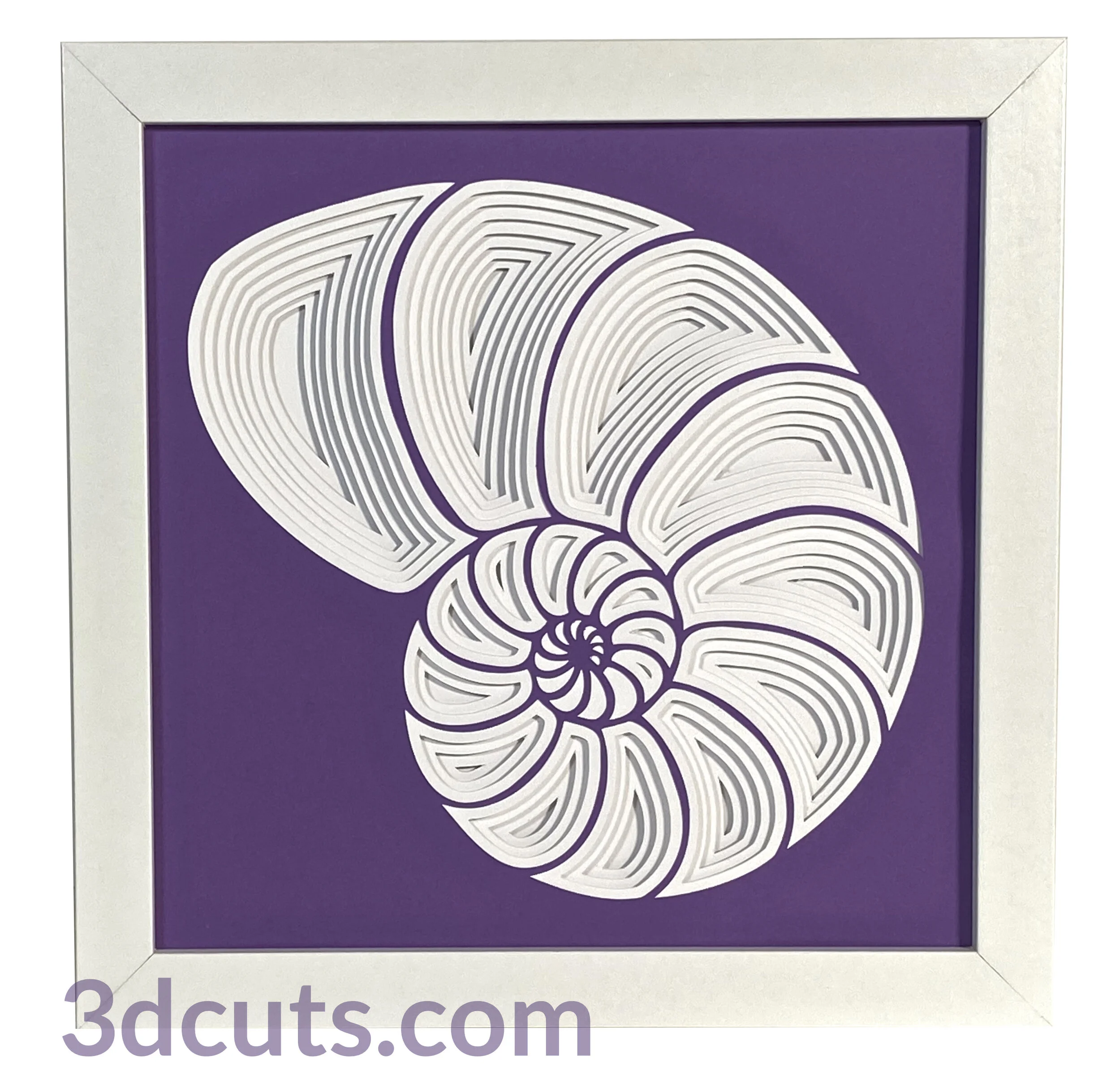 2 Nautilus straight w wm.jpg