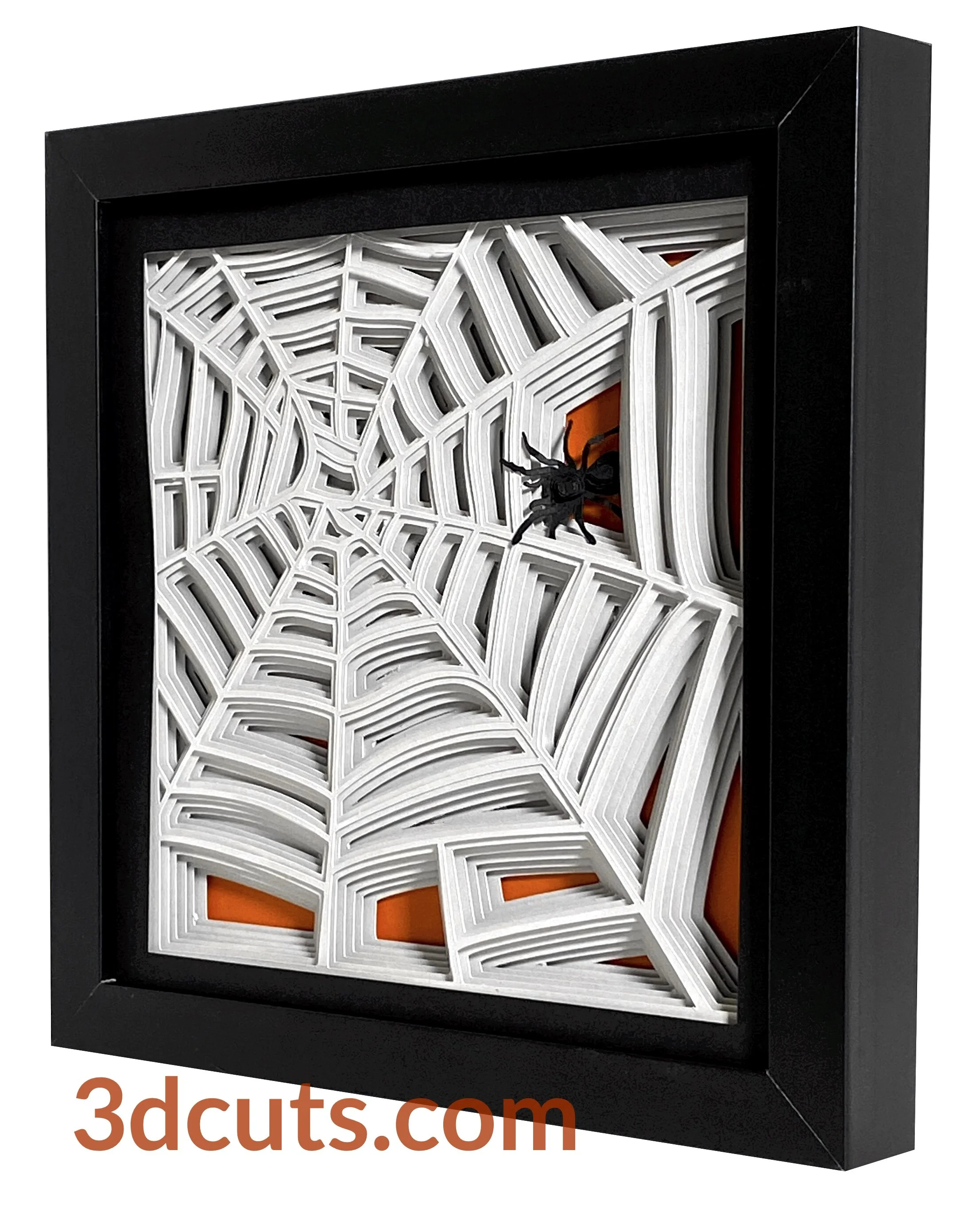 Stacked Spider WEb 3dcuts R WM.jpg