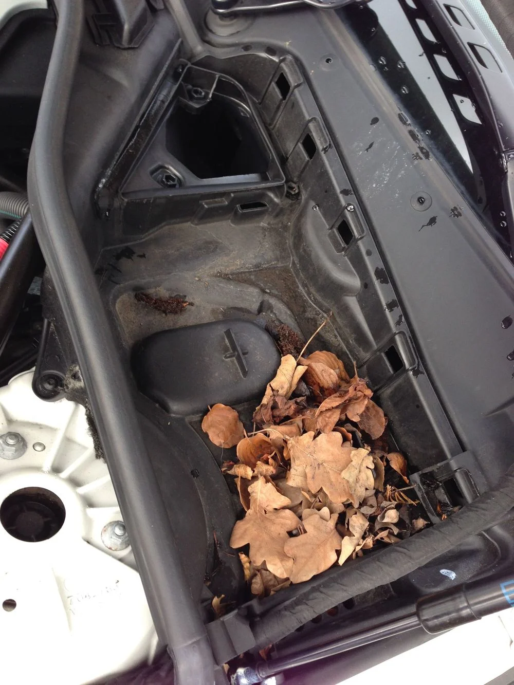 Engine and Filter Inspections (72795 miles)