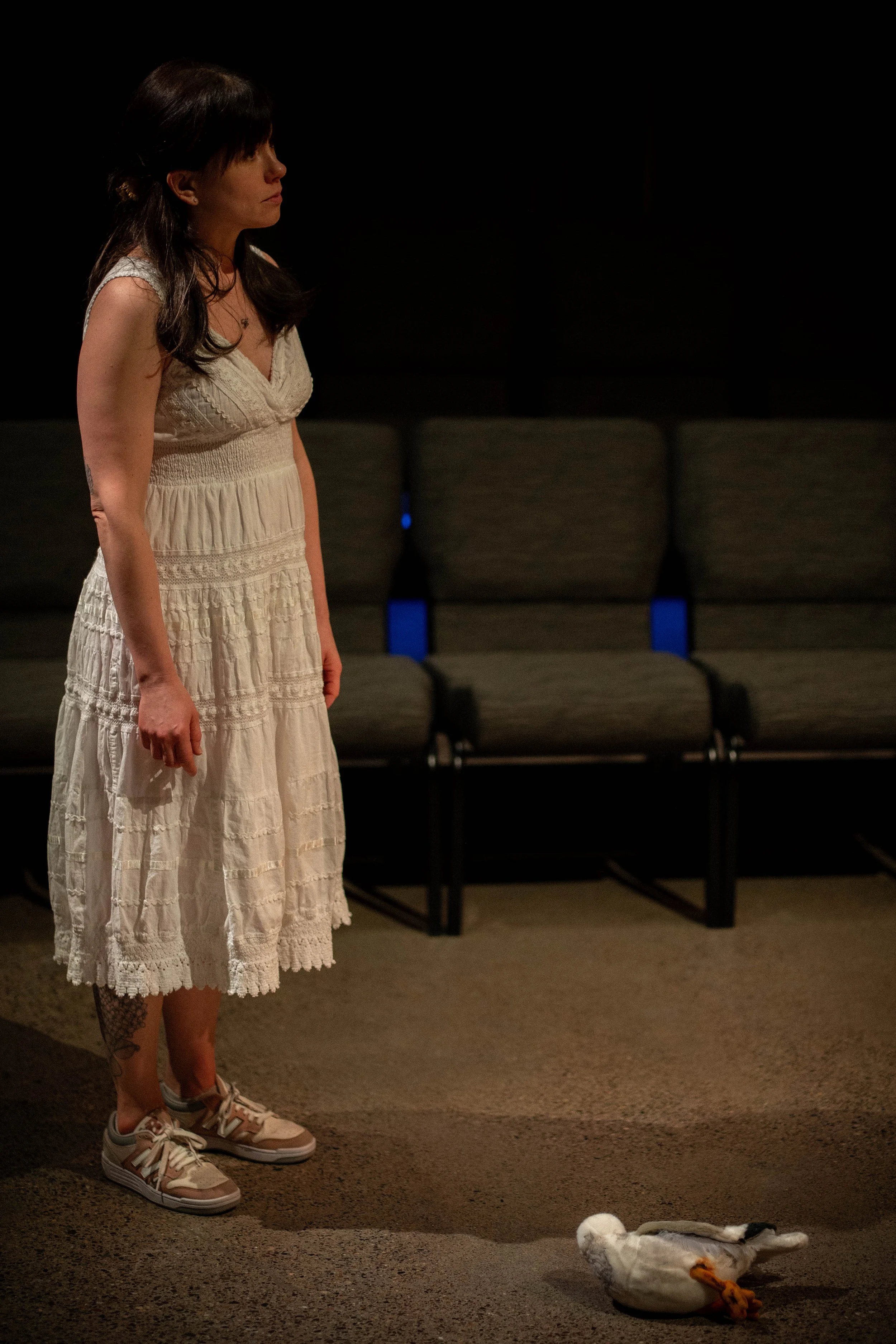  The Seagull   Bozeman Actors Theatre  Spring 2026  photo by Troy Dunning 