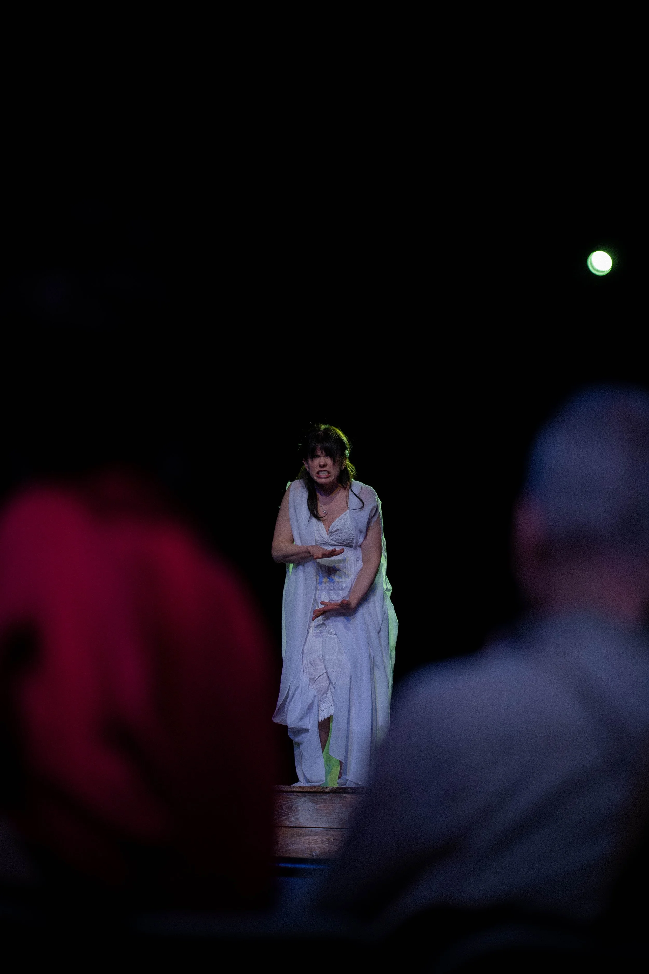   The Seagull   Bozeman Actors Theatre  Spring 2026  photo by Troy Dunning 