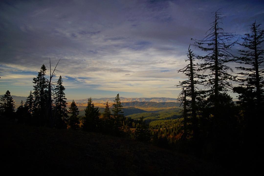 scenery1y.jpg