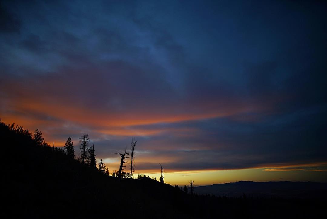scenery1w.jpg