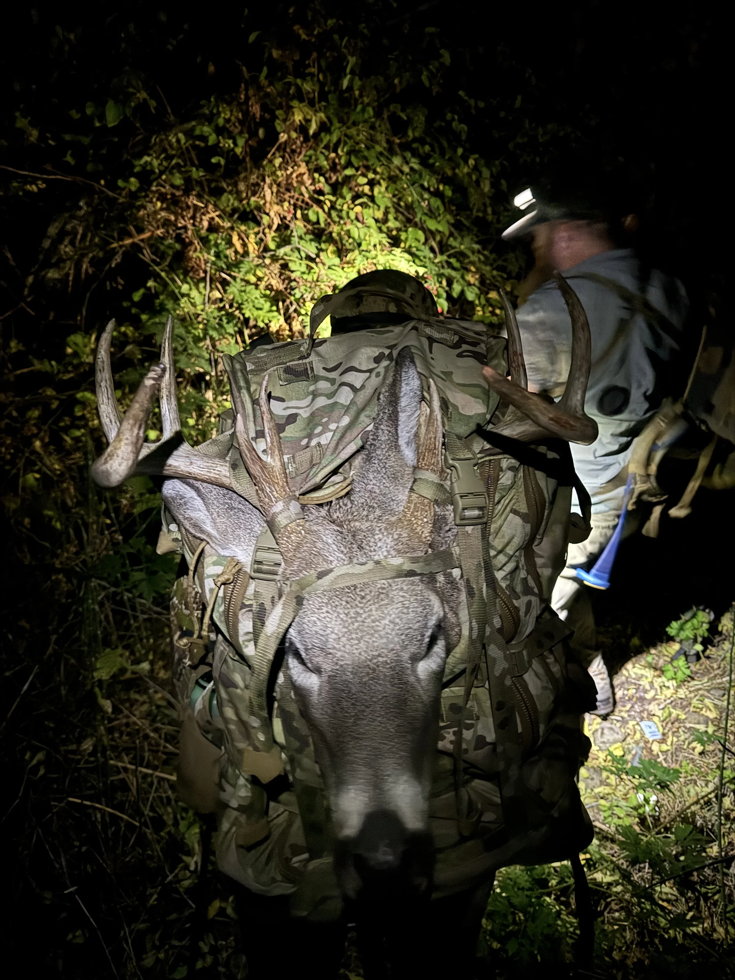 Photo Oct 11 2024, 11 06 08 PM.jpg