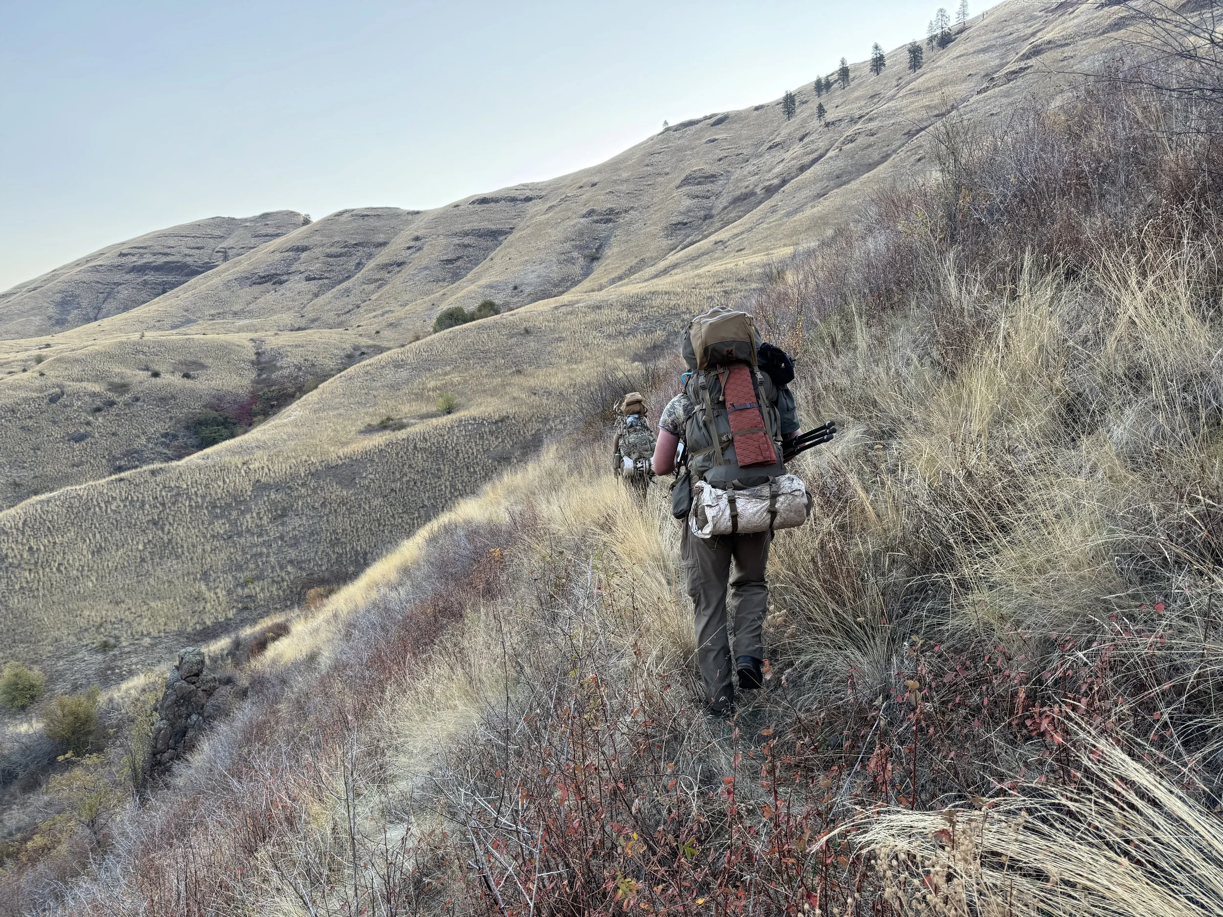 Photo Oct 13 2024, 7 42 40 AM.jpg