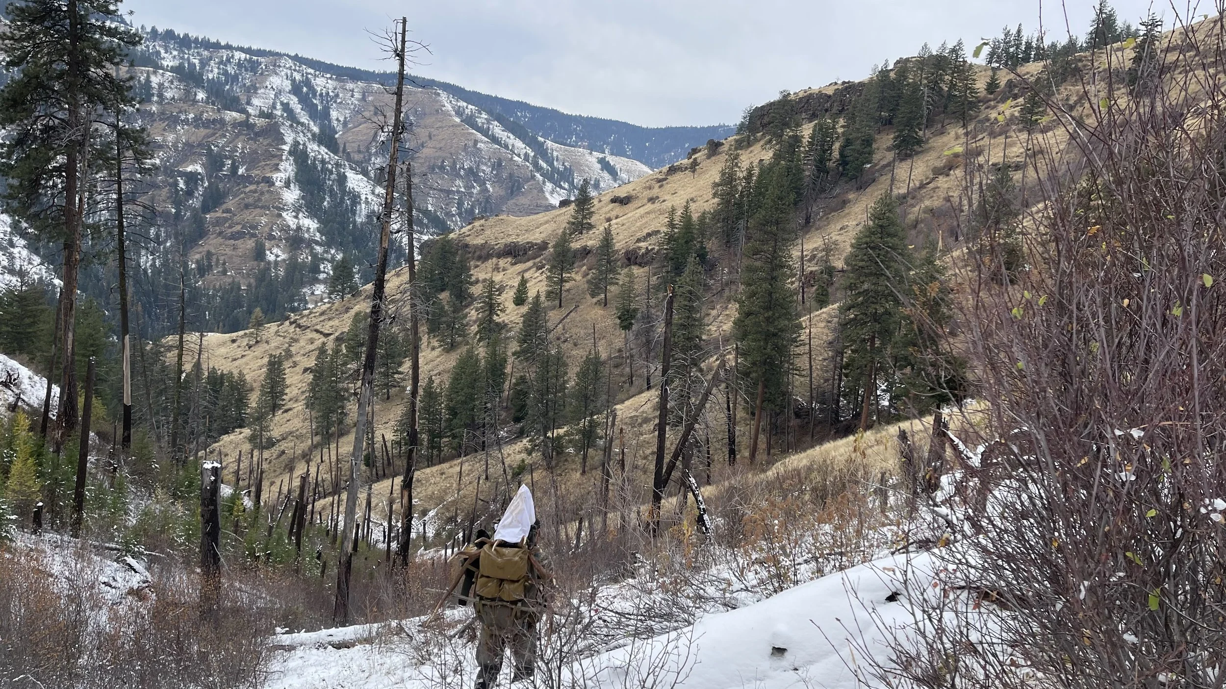 Photo Nov 11 2022, 11 45 14 AM.jpg