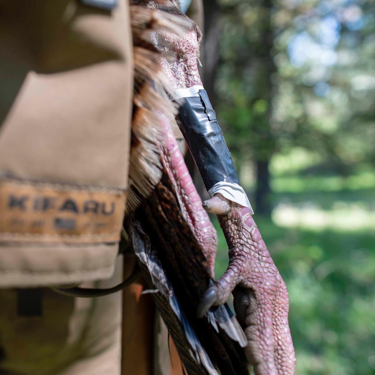 We got them dumplings coming up.