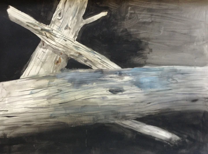 driftwood 2.jpg