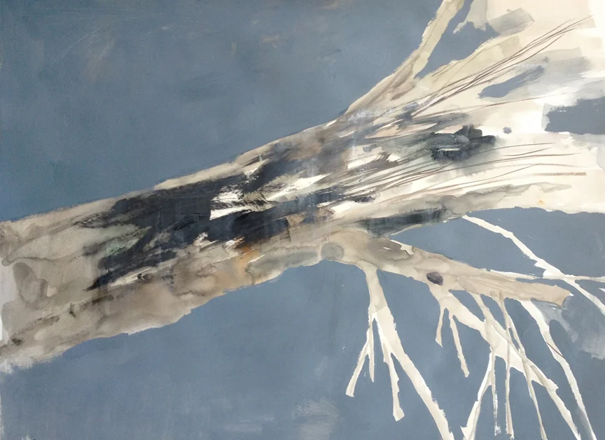 driftwood(roots).jpg