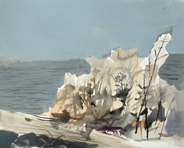 native plants with drift wood.jpg