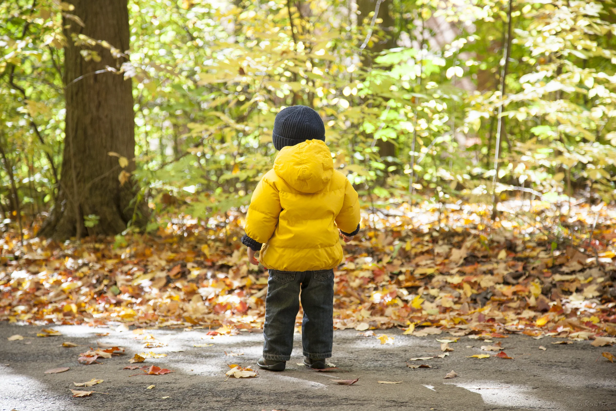 fall-2012-002.jpg