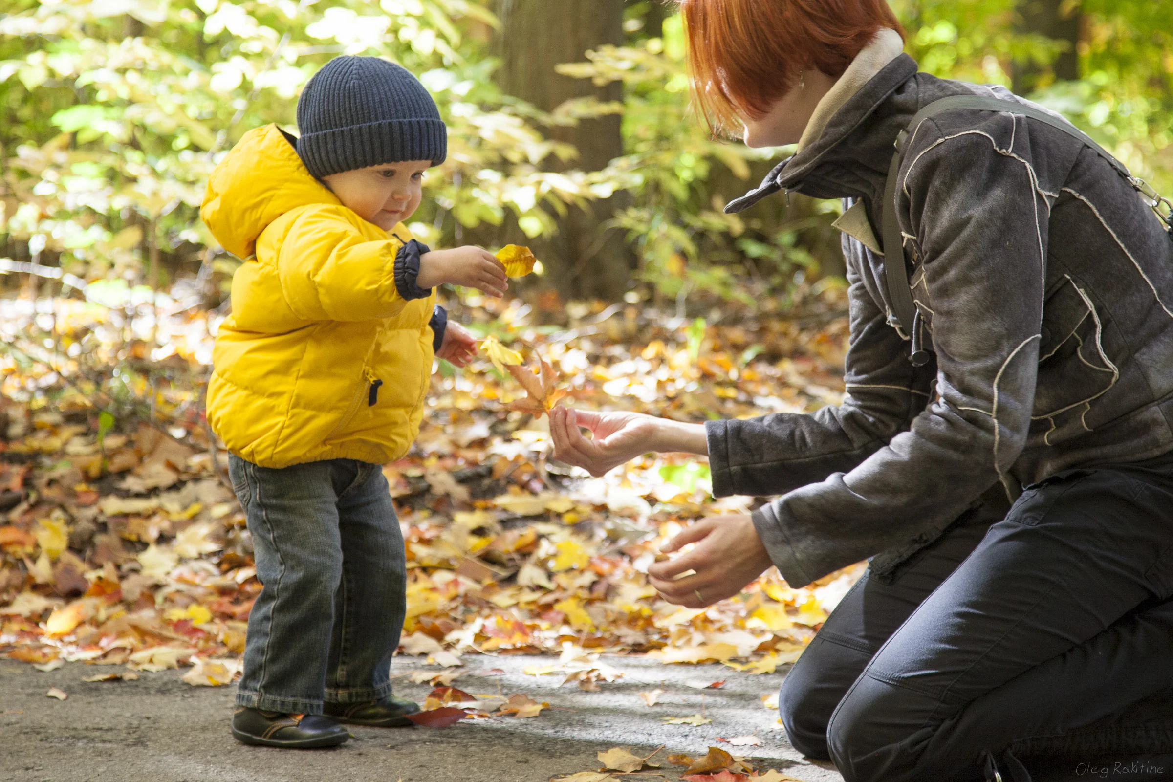 fall-2012-005.jpg