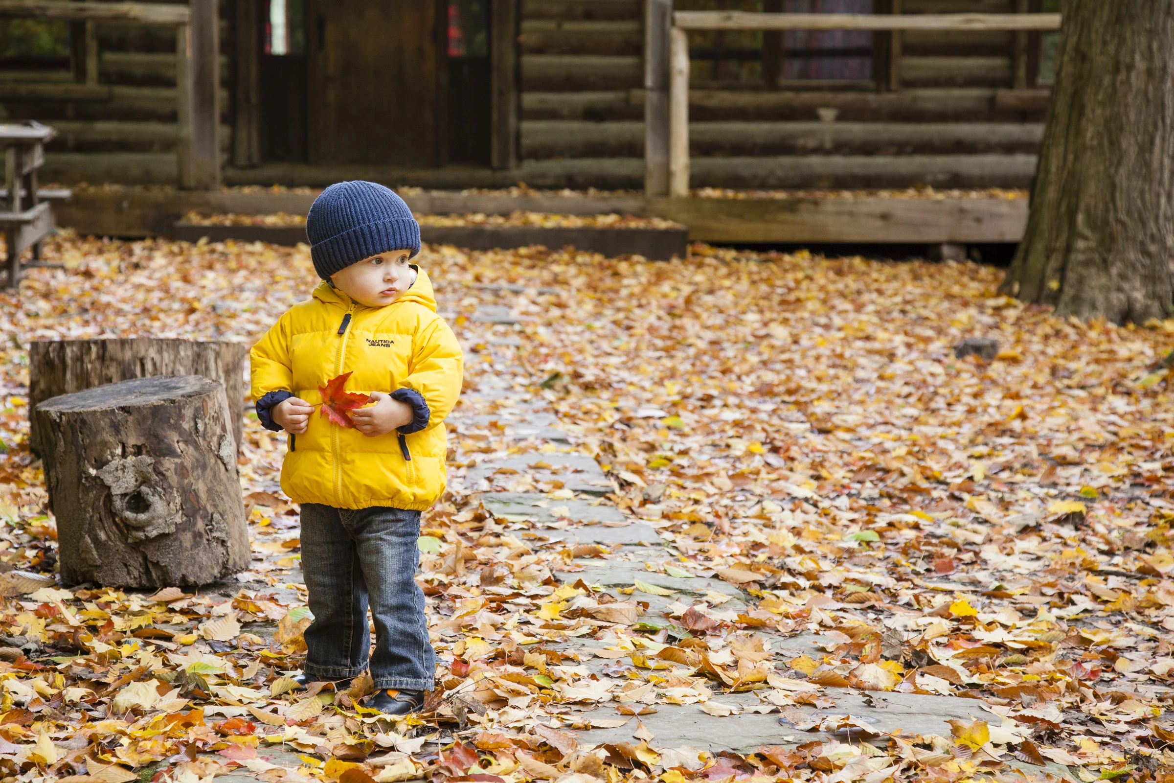 fall-2012-012.jpg