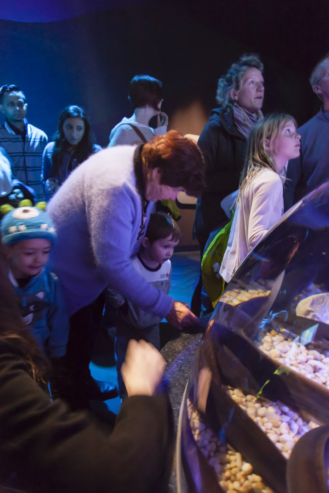 aquarium-003.jpg