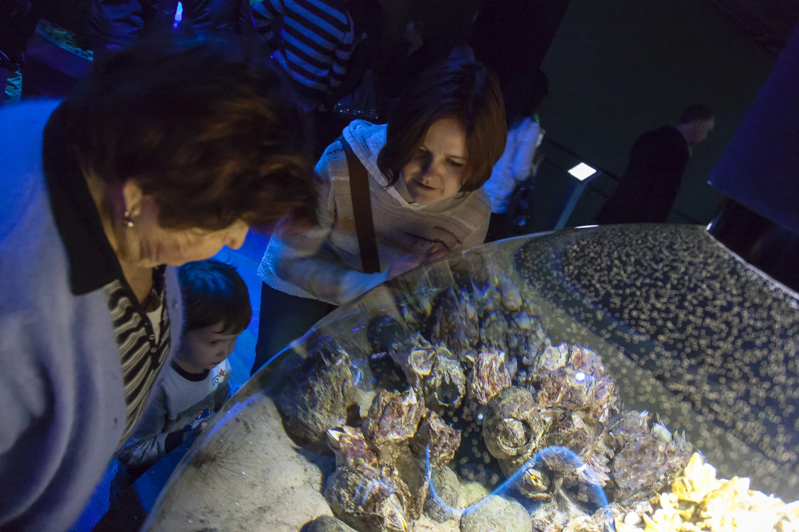aquarium-004.jpg
