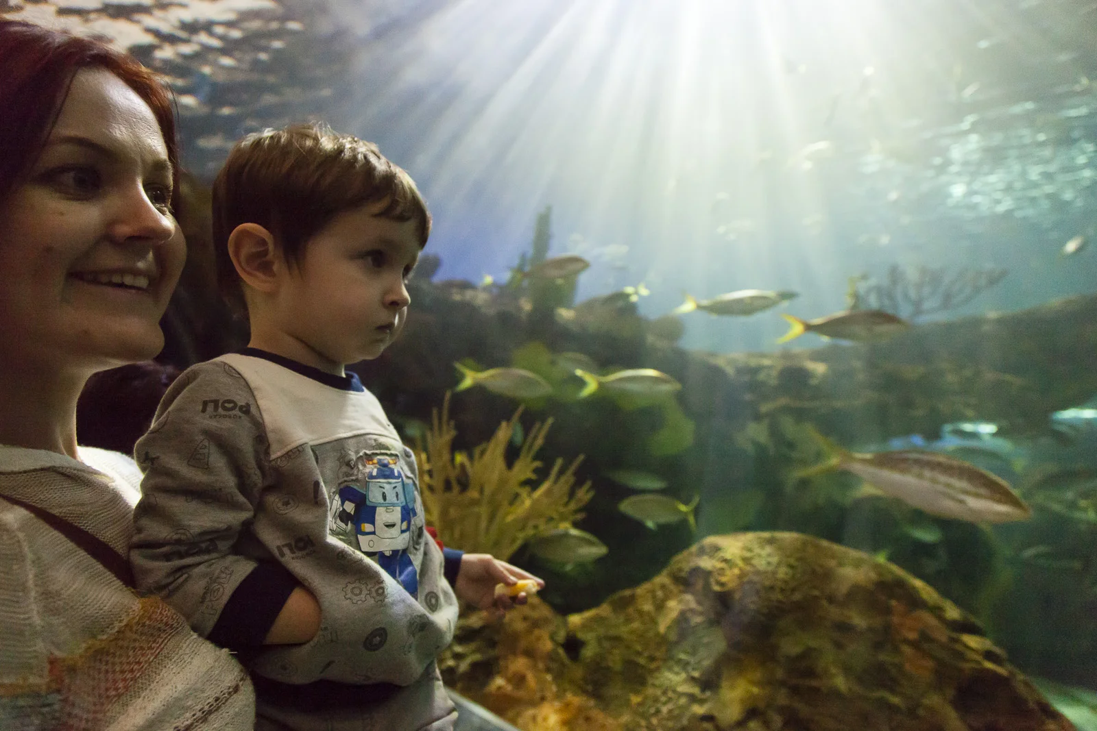 aquarium-009.jpg