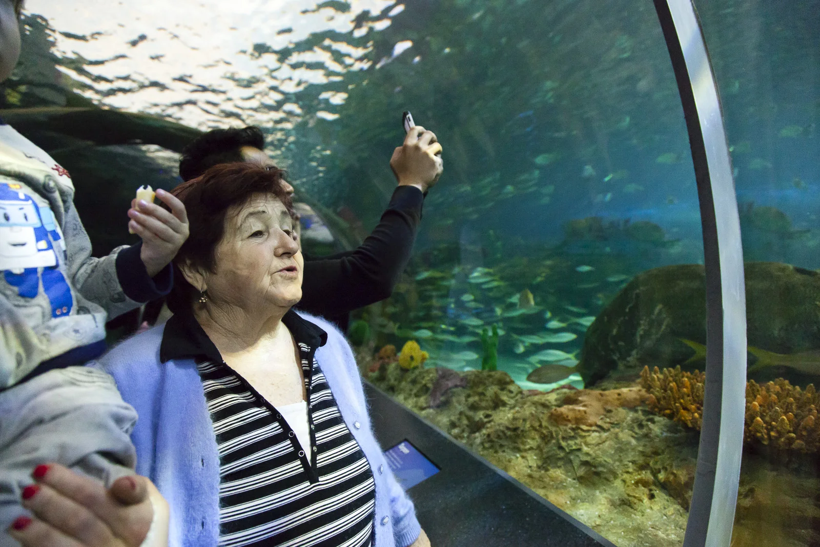aquarium-013.jpg