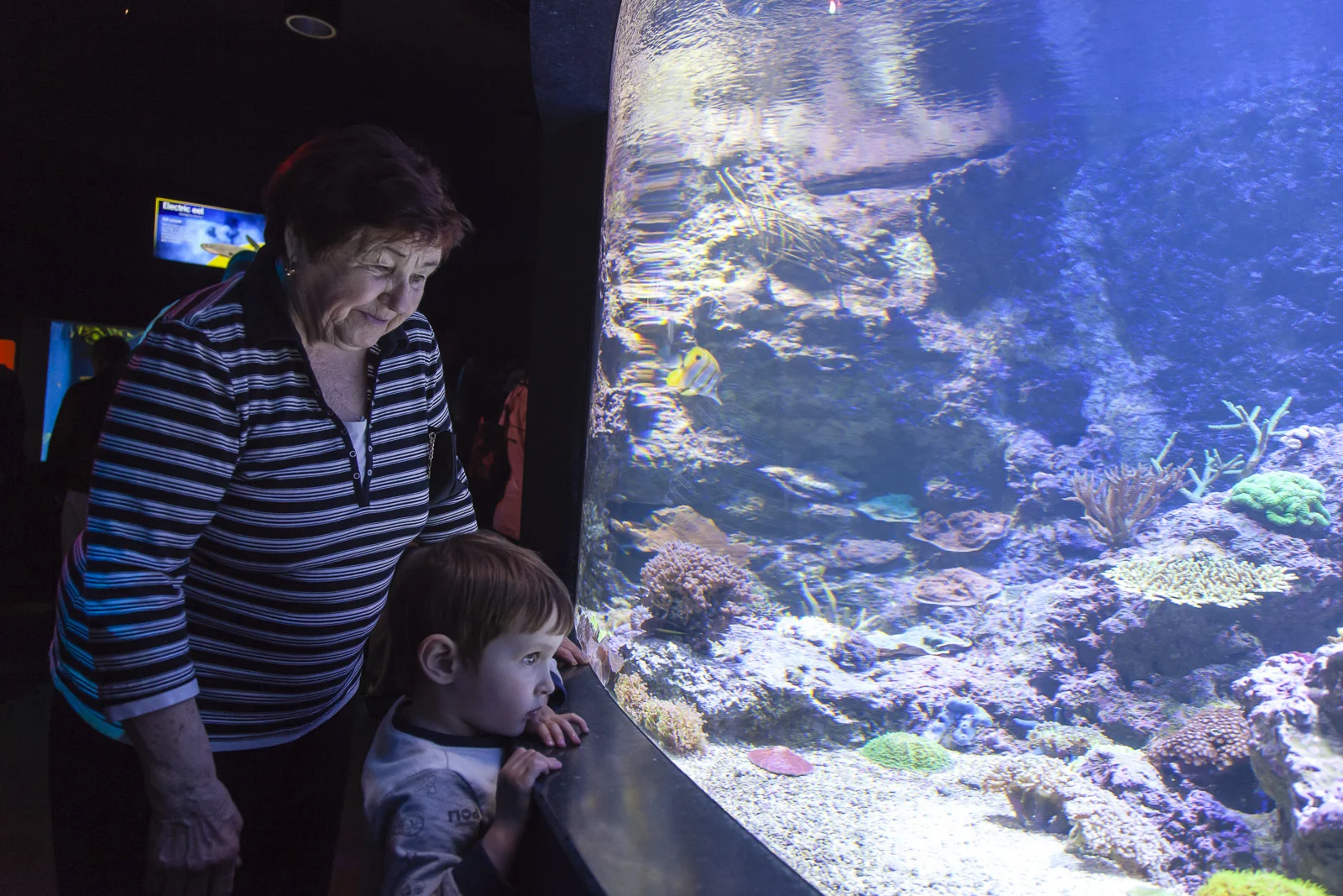 aquarium-021.jpg