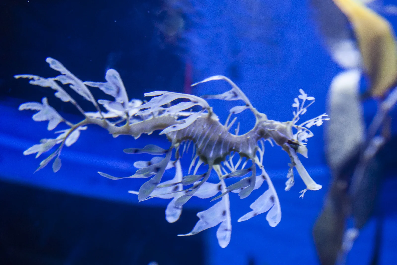 aquarium-022.jpg