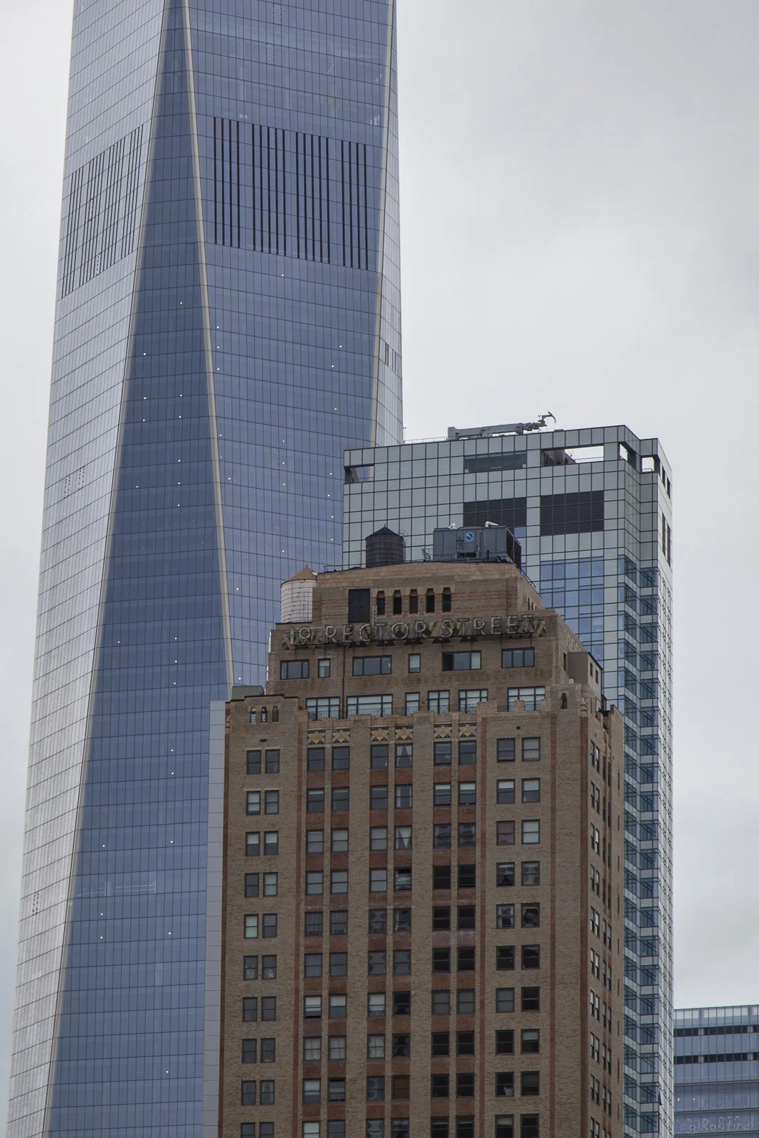 NYC2014-043.jpg