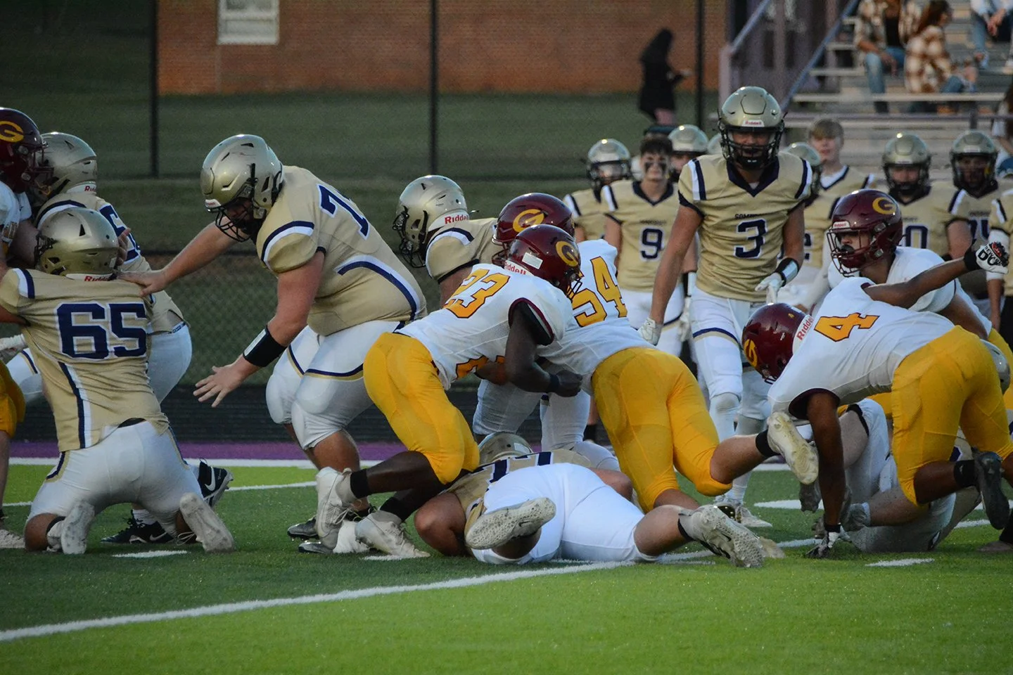 DSC_8392 (2023-09-09T03_39_52.724).JPG